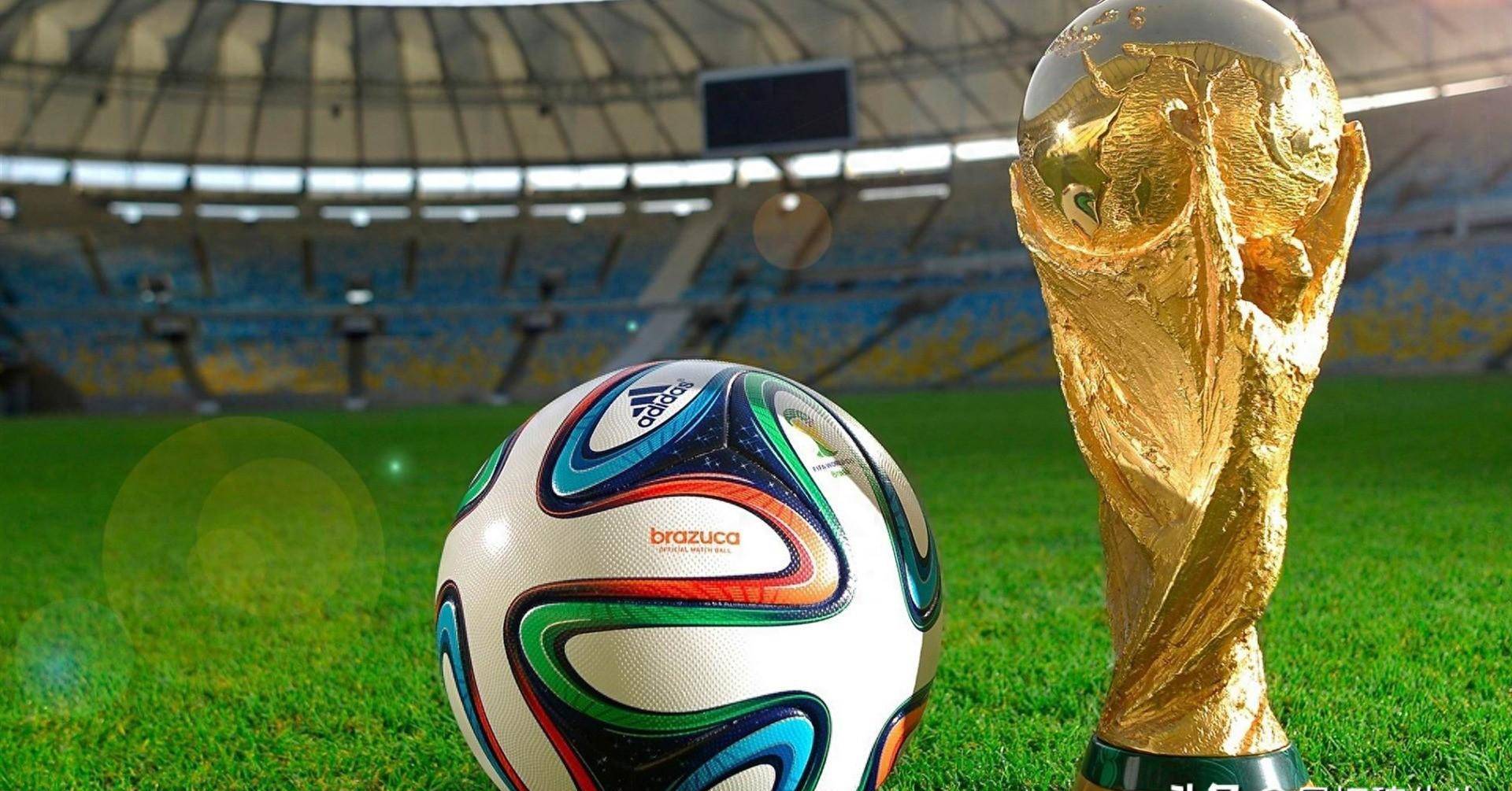 帅可能会对 帅可能会对